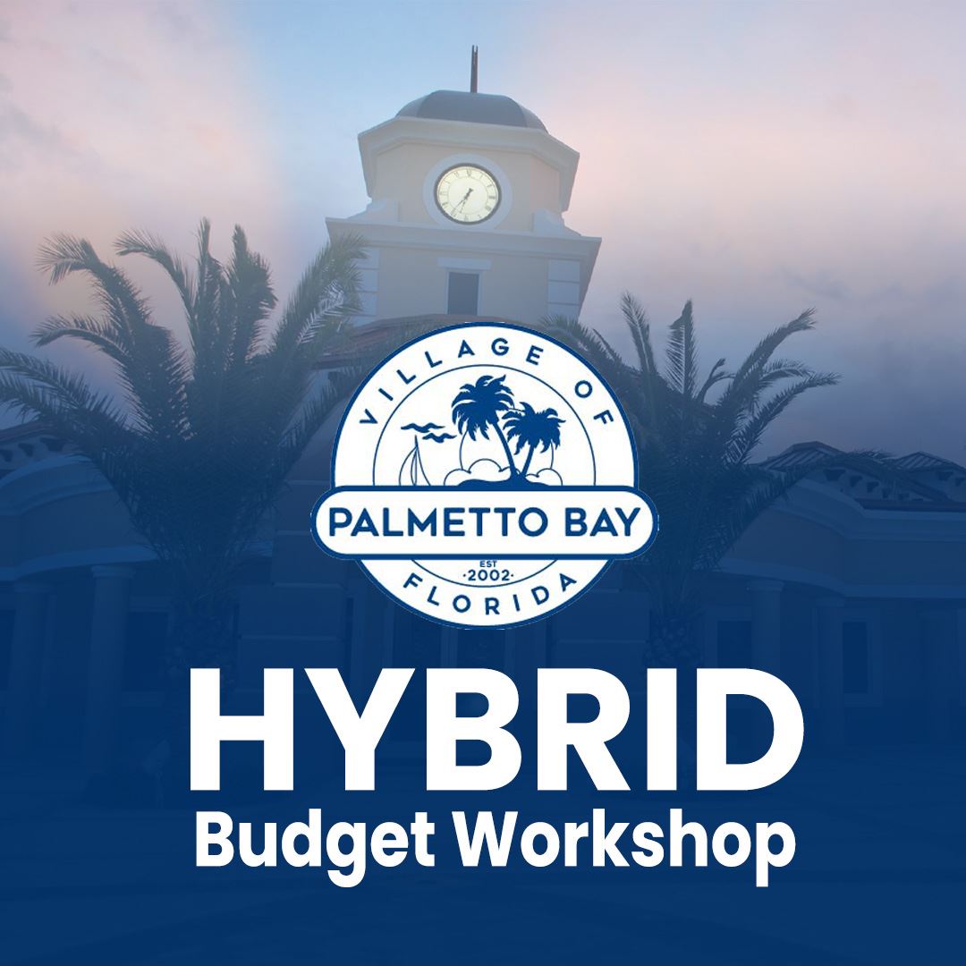 Hybrid-Budget-Workshop