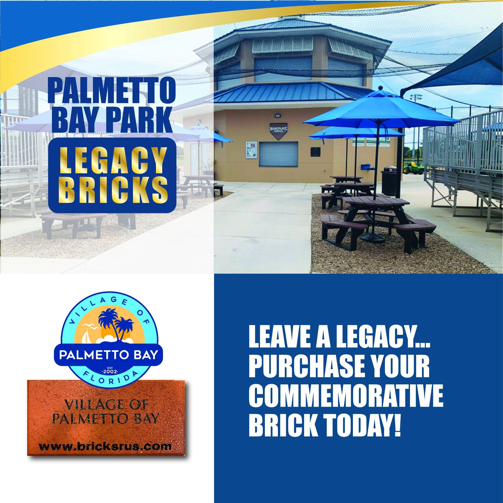 Brick Campaign Flyer