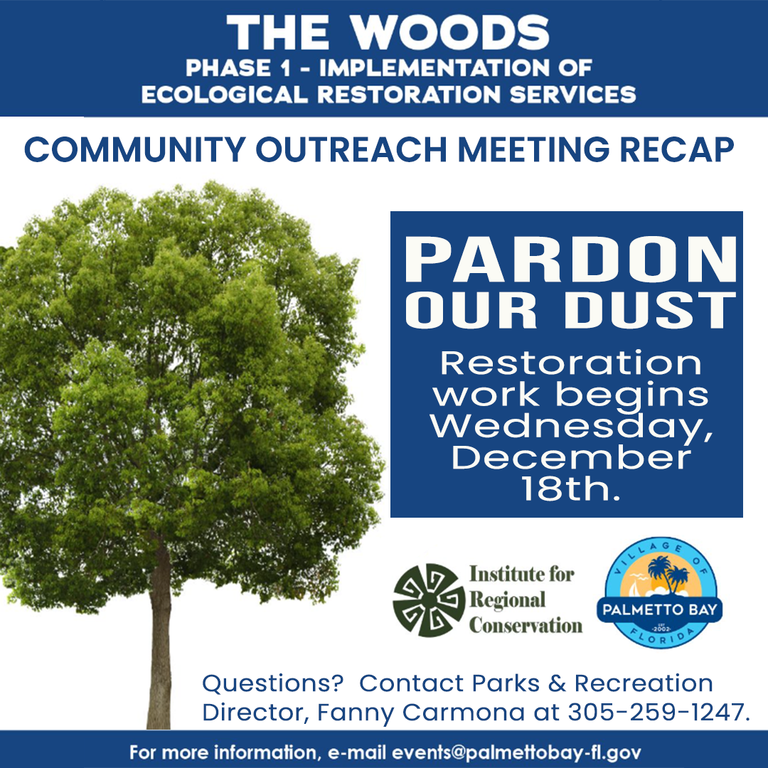 The-Woods--Pardon-our-dust