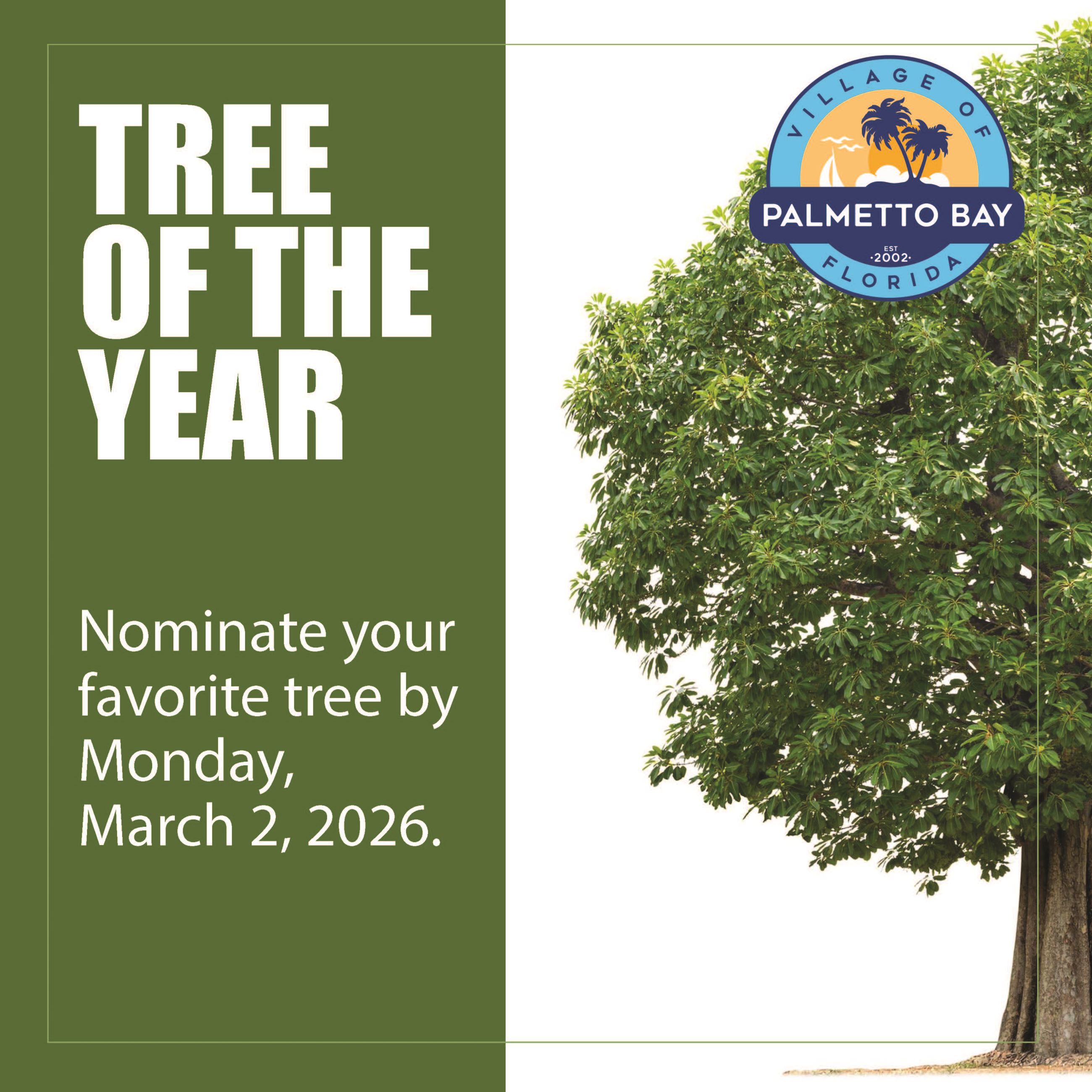 Tree of the Year - FB Image