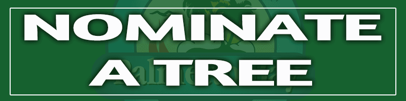 Nominate-a-Tree Rectangle- Green background with white letters