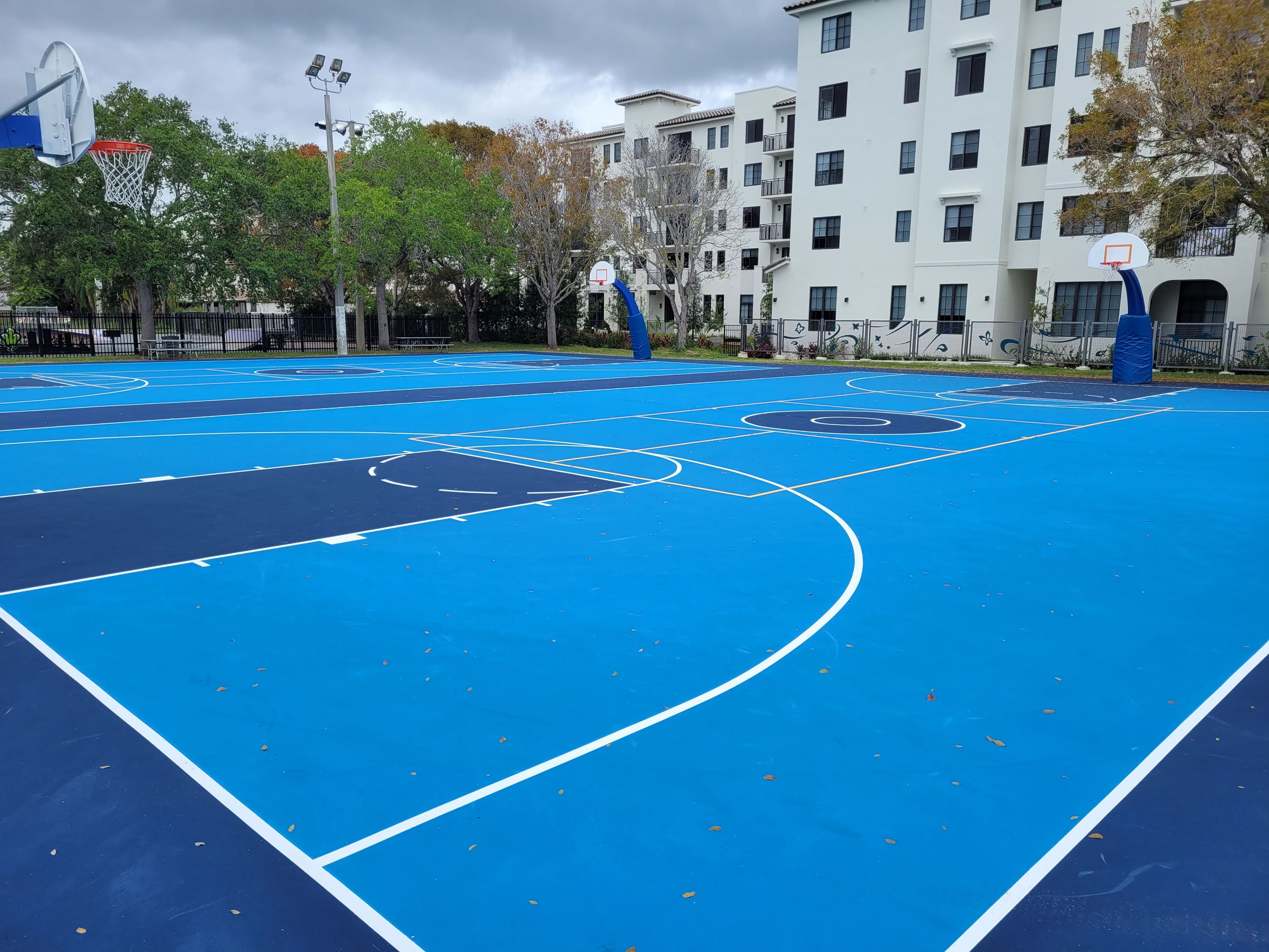 blue and white pickleball court