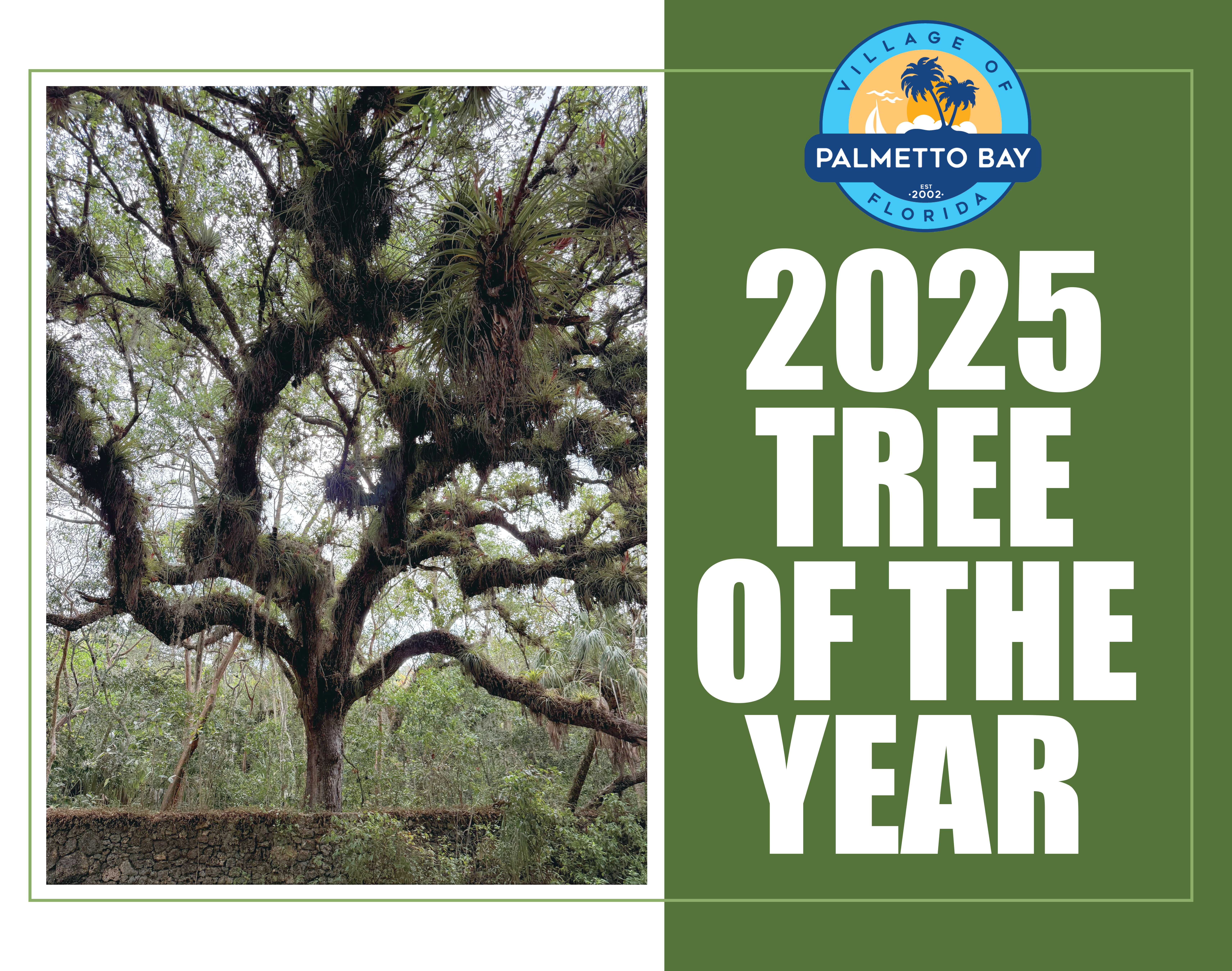 Tree of the Year 2025 - Yard Sign